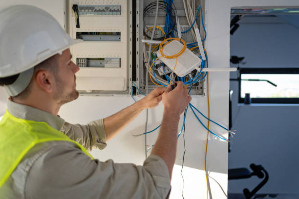 Best Generator Installation Services  in Mcmillin, WA